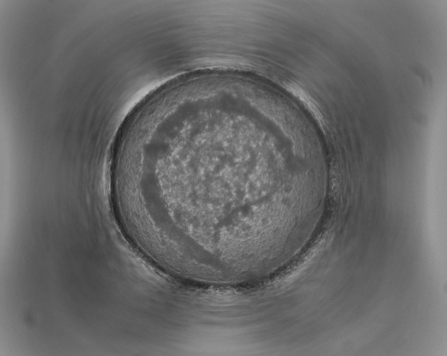X0000115180983200911121757