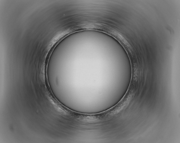 X0000115180986200911121757