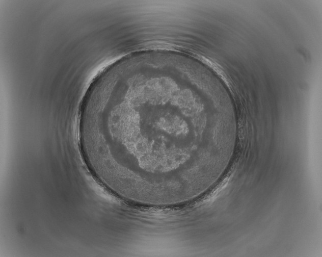 X0000115180987200911121757