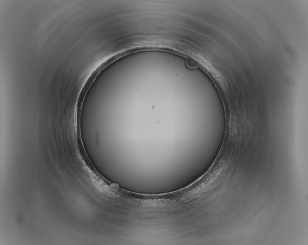 X0000115180988200911121757