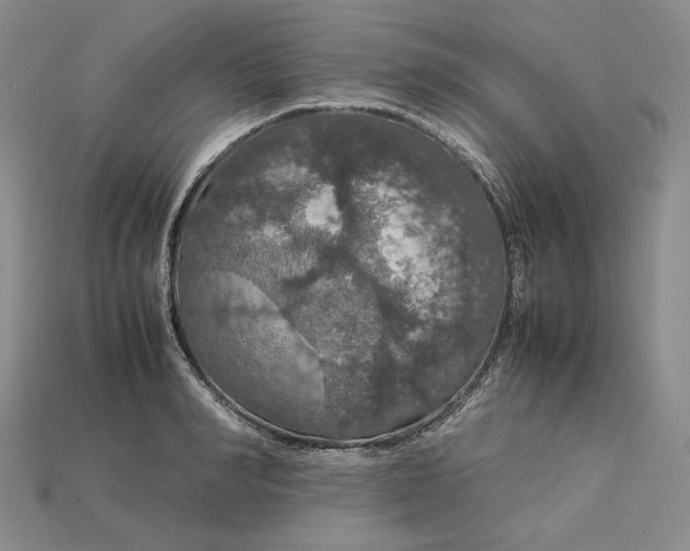 X0000115180990200911121757