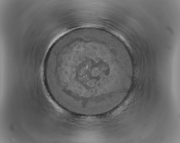 X0000115180991200911121757