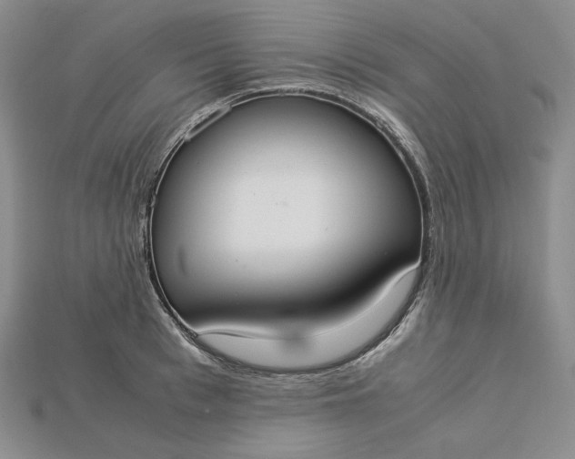 X0000115180993200911121757