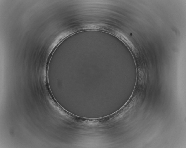 X0000115180994200911121757