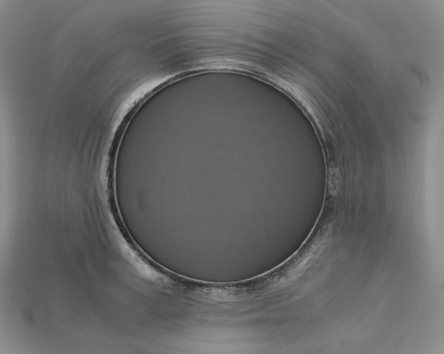 X0000115180995200911121757