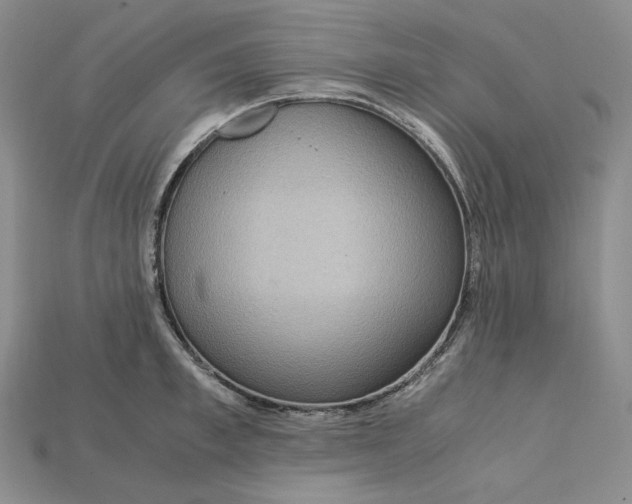 X0000115180997200911121757