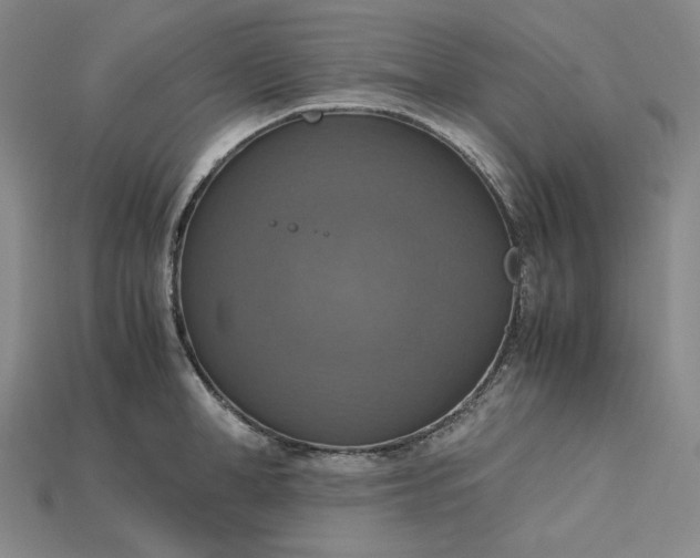 X0000115180998200911121757