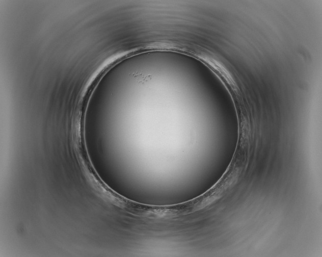 X0000115181000200911121757