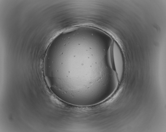 X0000115181001200911121757