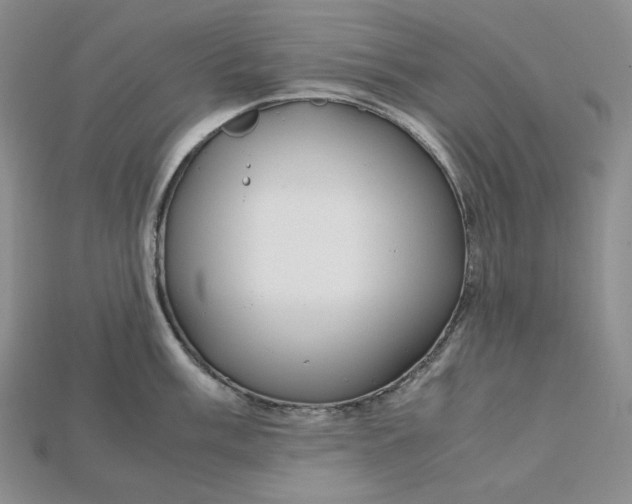 X0000115181003200911121757
