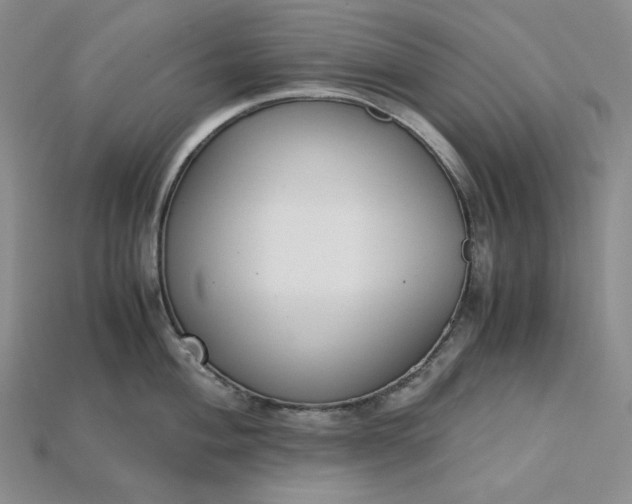 X0000115181004200911121757
