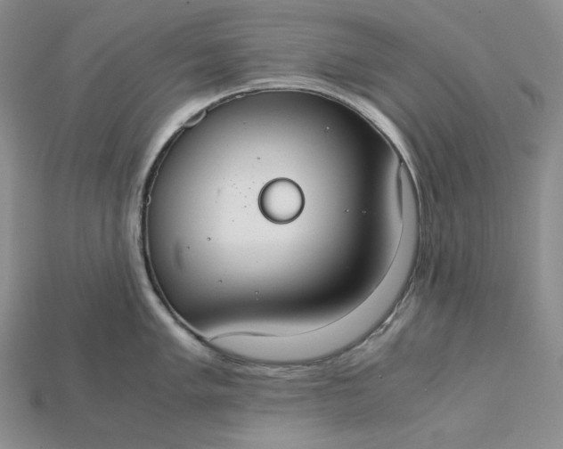 X0000115181005200911121757