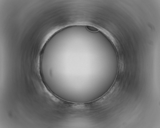 X0000115181006200911121757