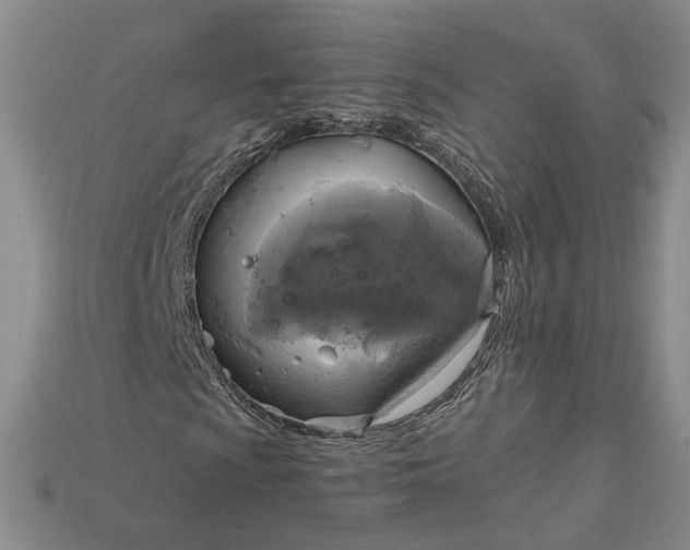 X0000115181009200911121756