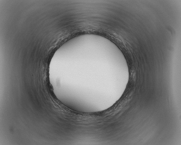 X0000115181012200911121756