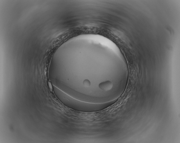 X0000115181013200911121756