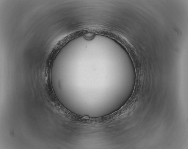 X0000115181016200911121756