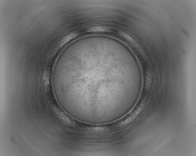 X0000115181017200911121756