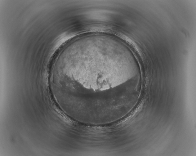X0000115181019200911121756
