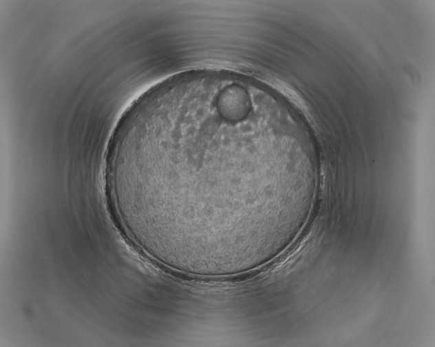 X0000115181020200911121756