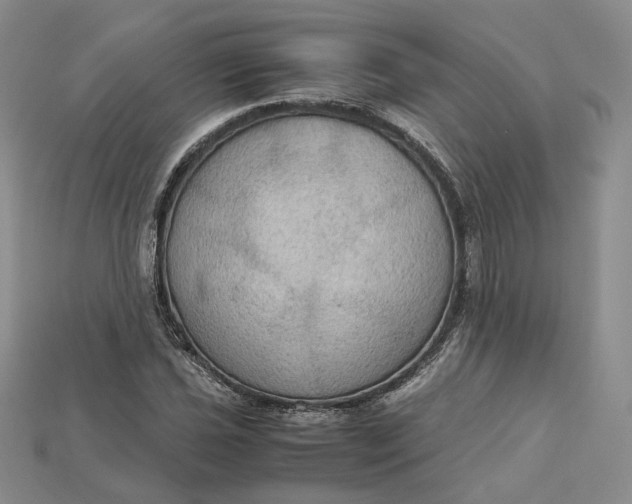 X0000115181021200911121756
