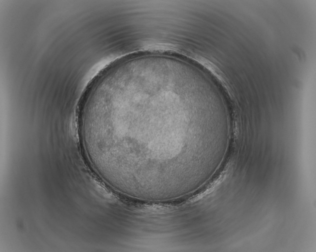 X0000115181022200911121756