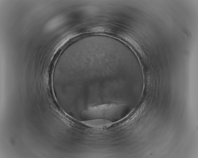 X0000115181023200911121756