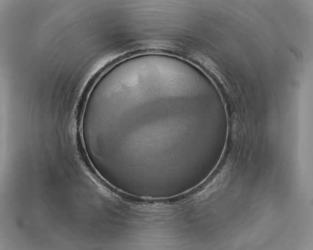 X0000115181024200911121756