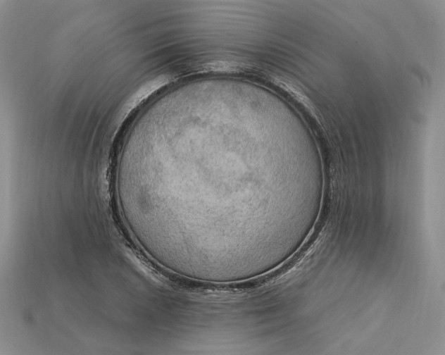 X0000115181026200911121756