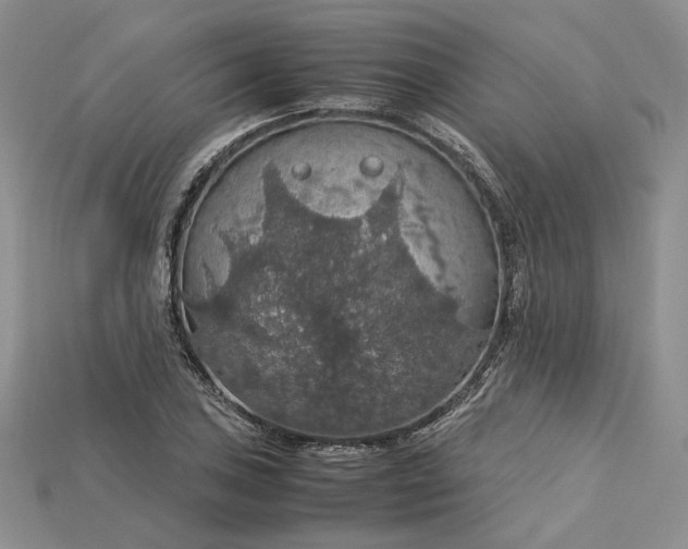 X0000115181027200911121756