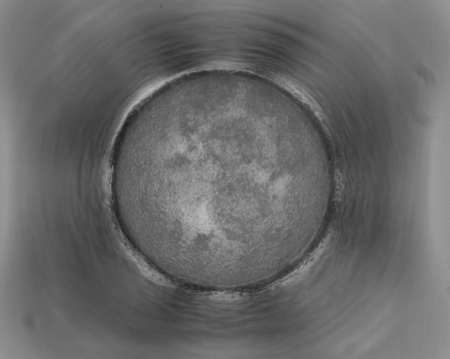 X0000115181029200911121756