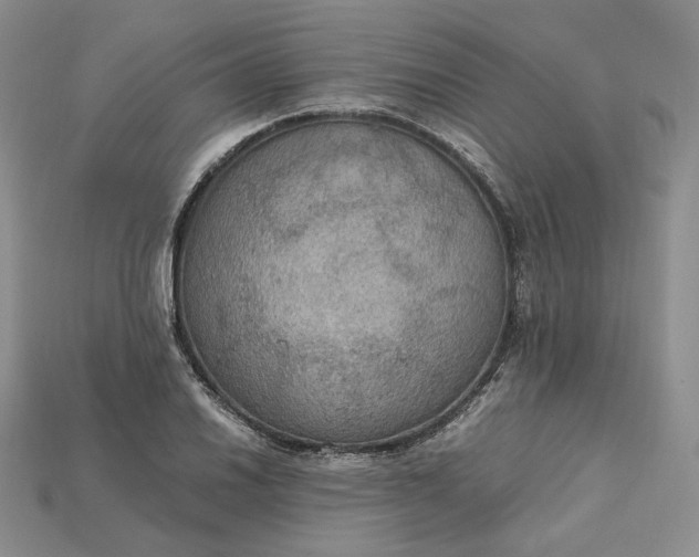 X0000115181030200911121756