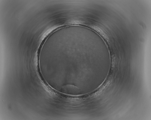 X0000115181031200911121756