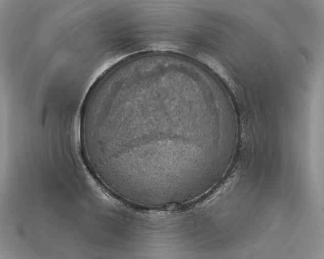 X0000115181032200911121756