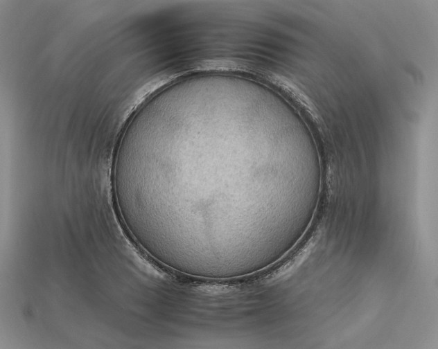 X0000115181033200911121756