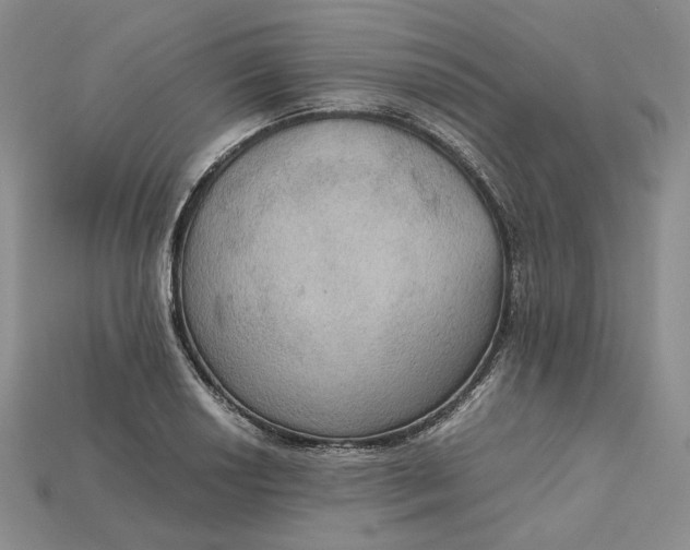 X0000115181034200911121756