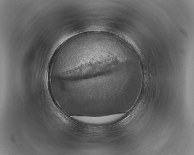 X0000115181035200911121756