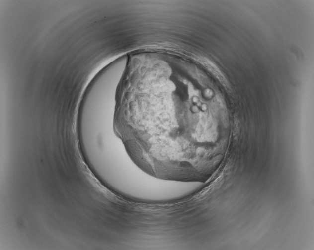 X0000115181036200911121756