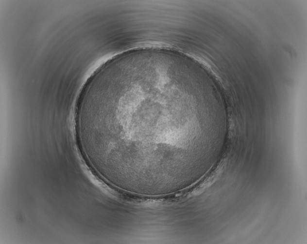 X0000115181038200911121756
