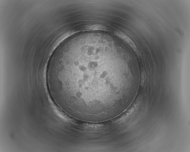 X0000115181039200911121756