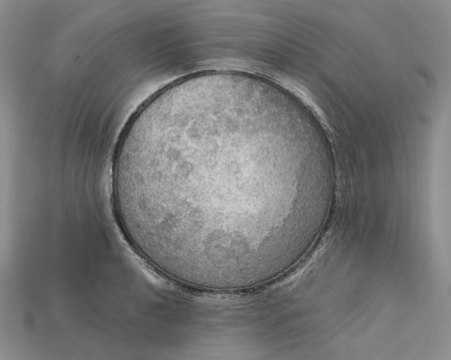 X0000115181040200911121756