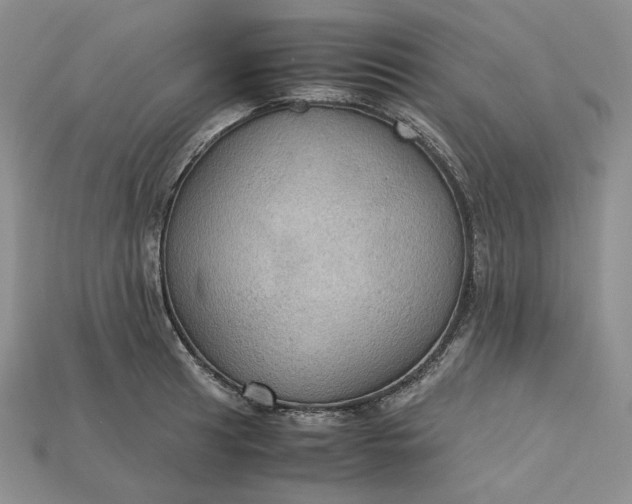 X0000115181041200911121756