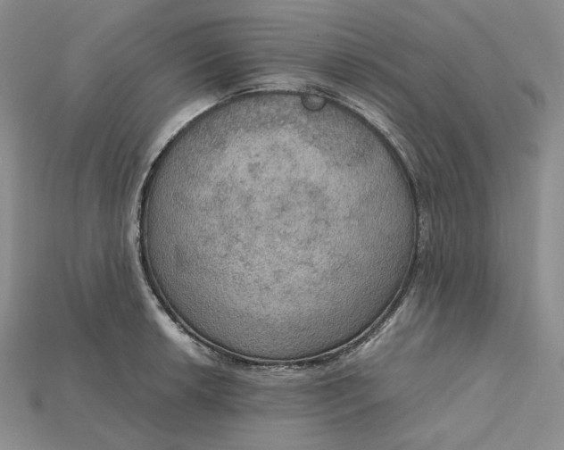 X0000115181042200911121756