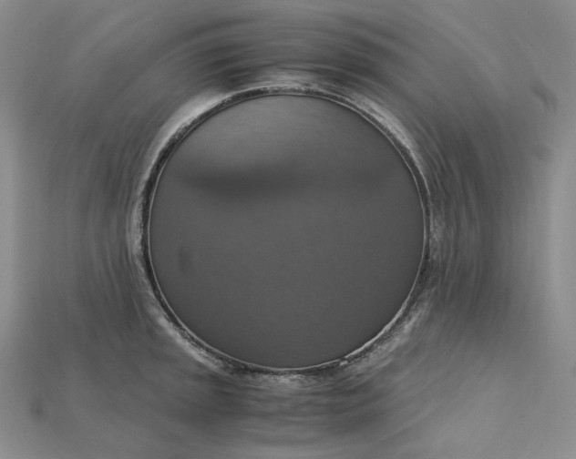 X0000115181045200911121757