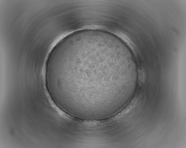 X0000115181046200911121757