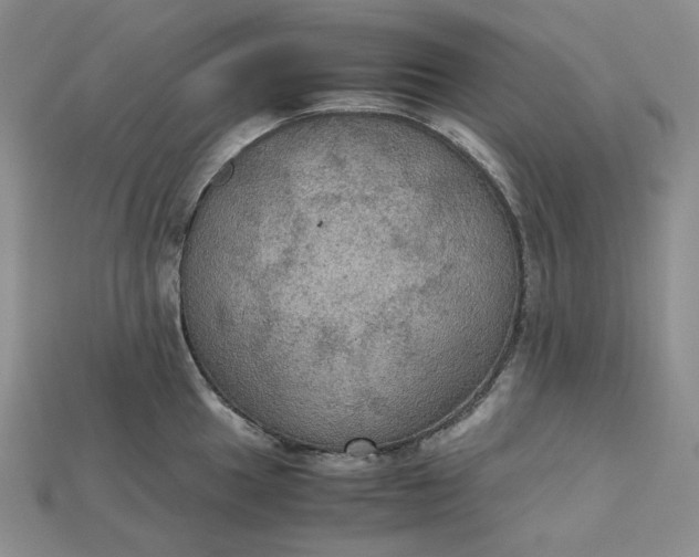 X0000115181049200911121757