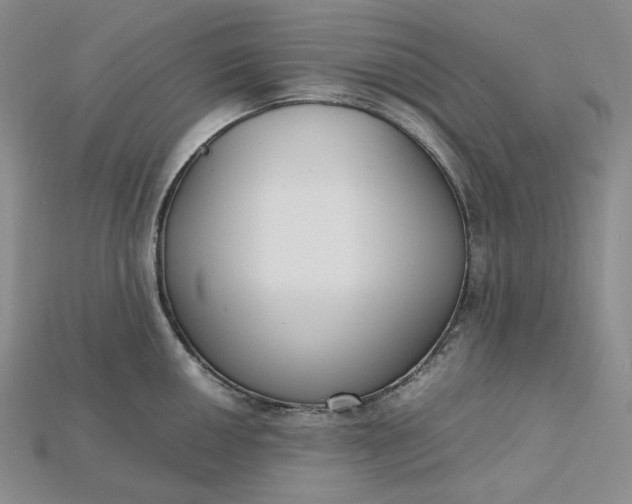 X0000115181050200911121757