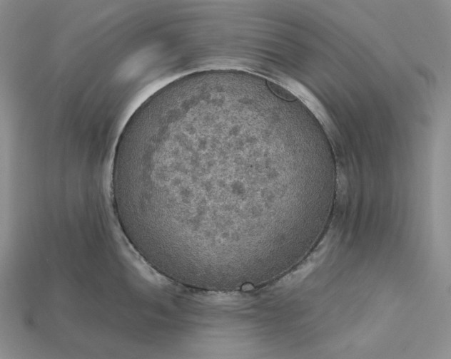 X0000115181052200911121757