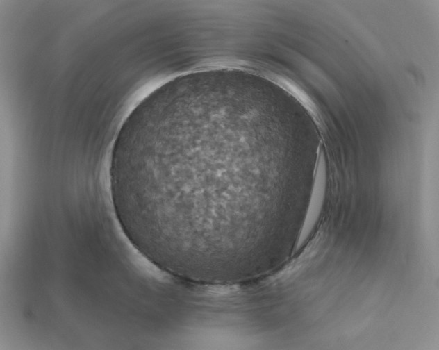 X0000115181055200911121757