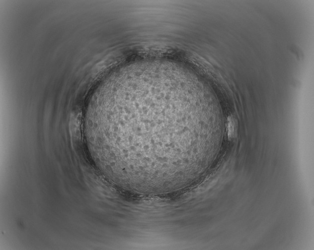 X0000115181059200911121756
